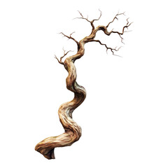 Dry twisted jungle branch Isolated on transparent Background