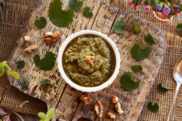 Pesto sauce made of fresh young garlic mustard leaves - wild edible plant collected in early spring