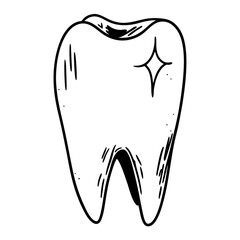 tooth  vector