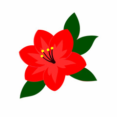Obraz premium azalea flower vector isolated on white background