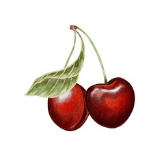 Red cherries on branch with leaves watercolor. Hand drawn botanical illustration. Fresh sweet and tasty ripe fruit. For labels, menus, packaging design, textile, fabric, stickers, cards