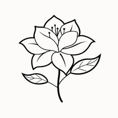 Obraz premium vector illustration of a azalea flower