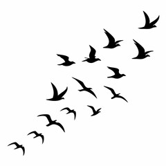 Silhouette of a flock of birds flying, isolated over a white background. Vector illustration