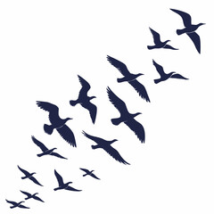 Fototapeta premium Silhouette of a flock of birds flying, isolated over a white background. Vector illustration