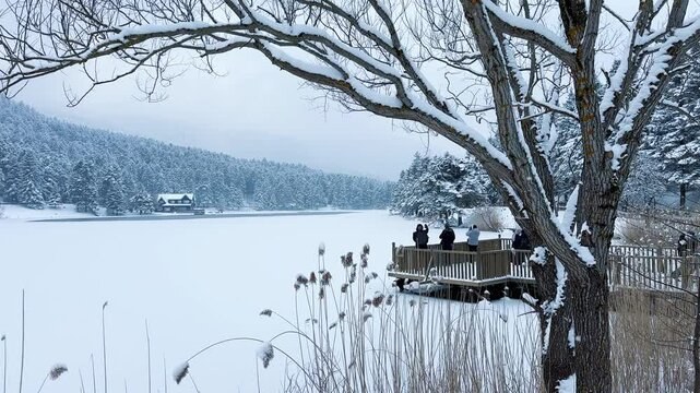 Bolu Golcuk National Park, lake wooden house on a snowy winter day in the forest in Turkey