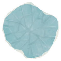 Shred Torn Paper Texture