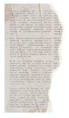 Obraz premium Strip Torn Paper