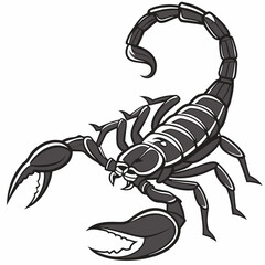 Vector illustration of a black spitting scorpion, detailed and realistic design for use in digital projects