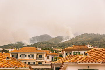 A row of houses with red roofs and white trim