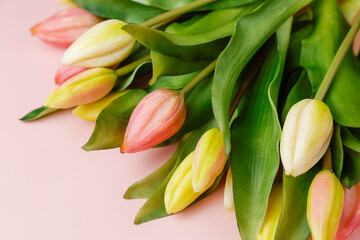 Obraz premium Bouquet of beautiful tulip flowers on pink background.