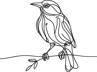 Elegant Bowerbird Outline Vector