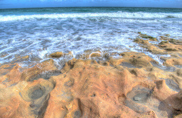 Anastasia Limestone at Blowing Rocks Preserve Park Hobe Sound, Jupiter Island Florida.