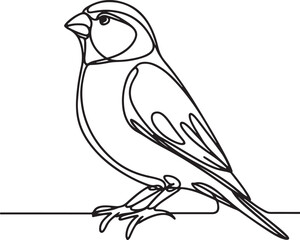Minimalist Canary Bird Line Art Design