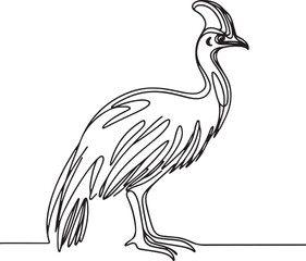 Cassowary Bird Line Drawing Design