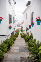 Hermosas Postales Del Pueblo Blanco