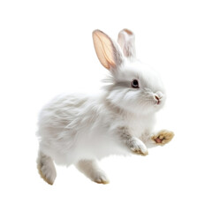 Fluffy Rabbit Hopping with Long Ears Isolated on Transparent Background