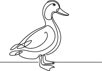 Beautiful Duck Line Drawing