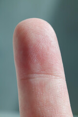 Fototapeta premium Macro close-up of a human fingertip with detailed fingerprint pattern on a blue background.