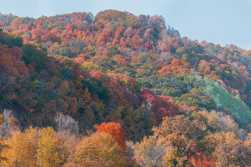 Obraz premium autumn in the mountains