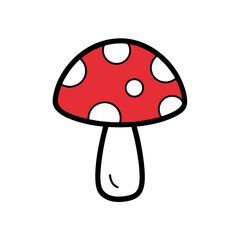 fly agaric mushrooms