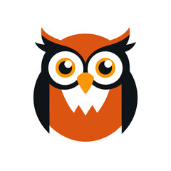 owl on white background