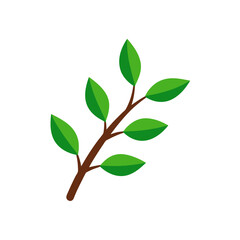 green leaves isolated on white background