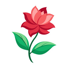 Obraz premium red flower isolated on white background