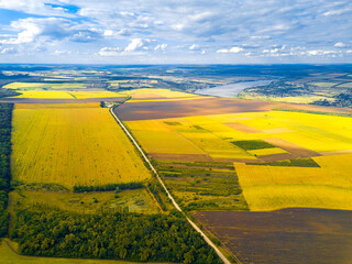 A vibrant aerial landscape depicting a stunning view of patchwork fields and a winding river...