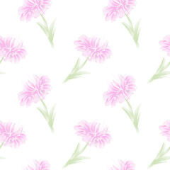 pattern texture Flower peony, spring, tenderness, transparent, isolated on white background, vector.