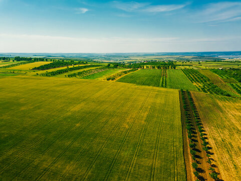 An aerial view showcases lush green fields and gently rolling hills set against a completely clear blue sky