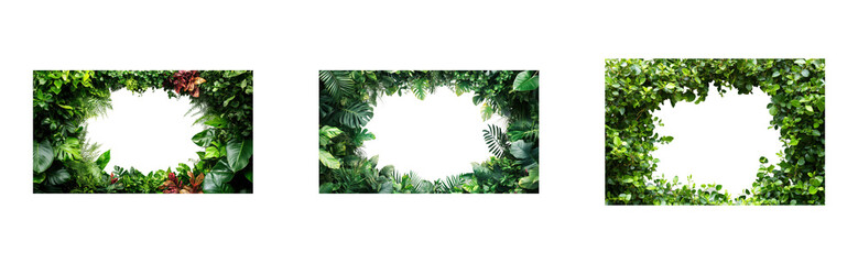 Lush green leaf frames with tropical foliage for creative backgrounds. Set png cut out