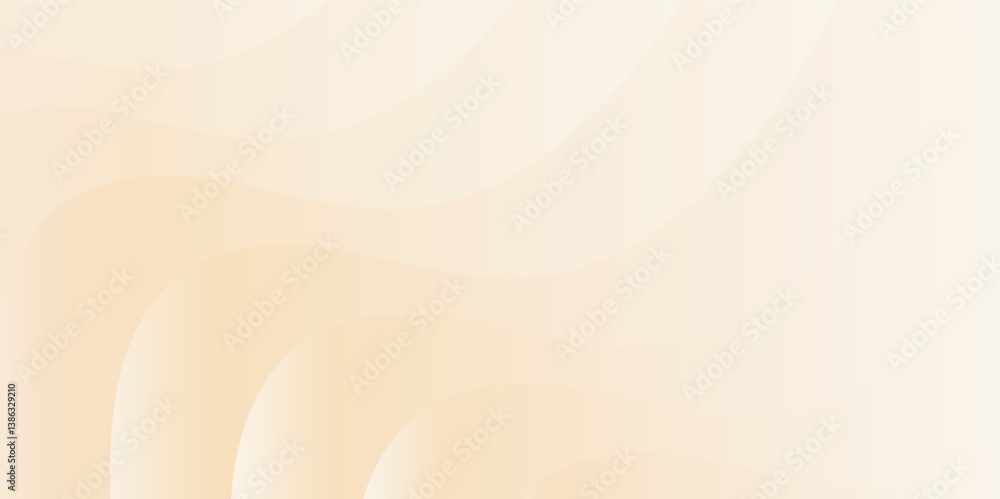 Poster abstract gradient modern white and grey curve line and shadow texture background. design for text or