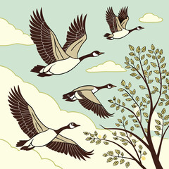 Spring migration of geese in flight. Colorful vector illustration of flying geese.