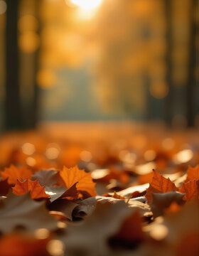 Autumn Landscape with Golden Leaves Against a Sunset Background