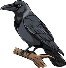 Fototapeta premium a illustrator vector crow
