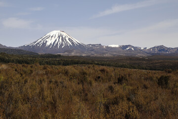 Mount Ngauruhoe Neuseeland / Mount Ngauruhoe New Zealand © Ludwig