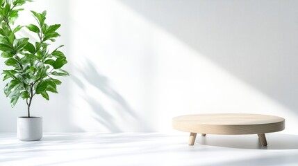 Minimalist modern room with wooden pedestal and plant