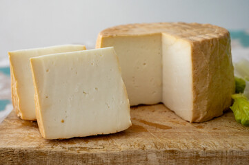 Cheese collection, piece of round fresh smoked Spanish goat cheese close up