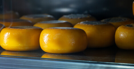 Wooden shelves with hard matured cheese from cow's milk at cheese factory in North Holland, The Netherlands, Dutch cheese farm