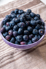 Blueberry antioxidant organic superfood forest berry