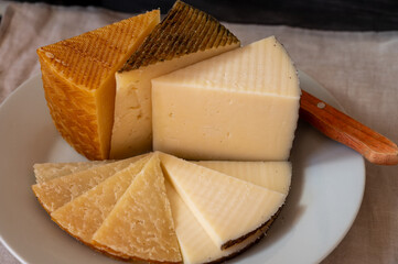 Assortment of Spanish hard cheeses, curado, manchego, goat cheese served for tasting, close up