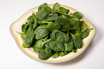 Fresh green baby Spinach leaves, diet and health concept, weight loss, washed spinach on ceramic plate