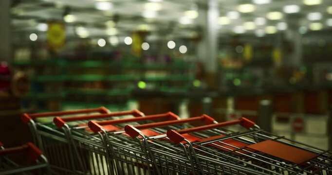 Rows of shopping carts are neatly arranged inside a grocery store. The background features blurred shelves stocked with various products while overhead lights illuminate the area.