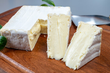 French soft squared pont l'eveque cow cheese from Calvados department, Normandy, France