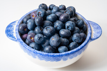 Blueberry antioxidant organic superfood forest berry