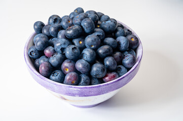 Blueberry antioxidant organic superfood forest berry