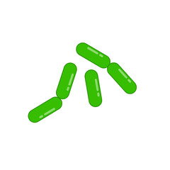 Diplobacillus bacteria morphology. Vector illustration in flat style.