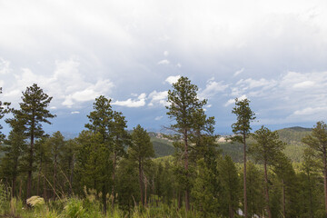 Custer State Park, South Dakota