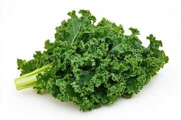 Fresh Green Kale Bunch Isolated on White Background Ready for Cooking