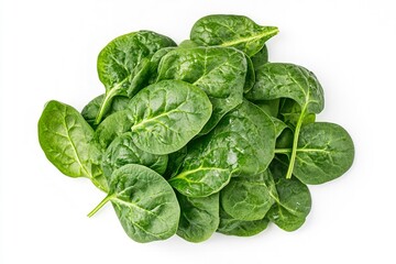 Fototapeta premium Fresh Spinach Leaves Pile Isolated on White Background for Healthy Eating